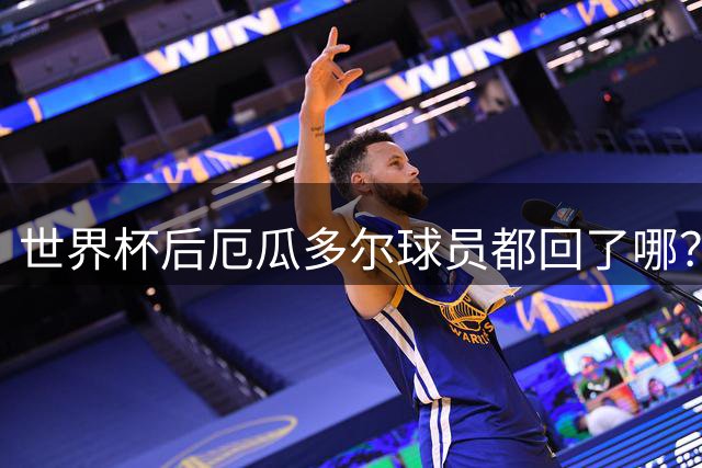 世界杯后厄瓜多尔球员都回了哪？输给墨西哥后他们各归其主