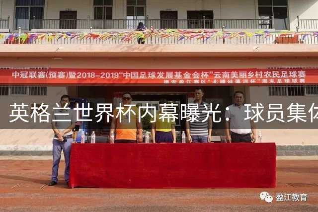 英格兰世界杯内幕曝光：球员集体质疑图赫尔战术致败