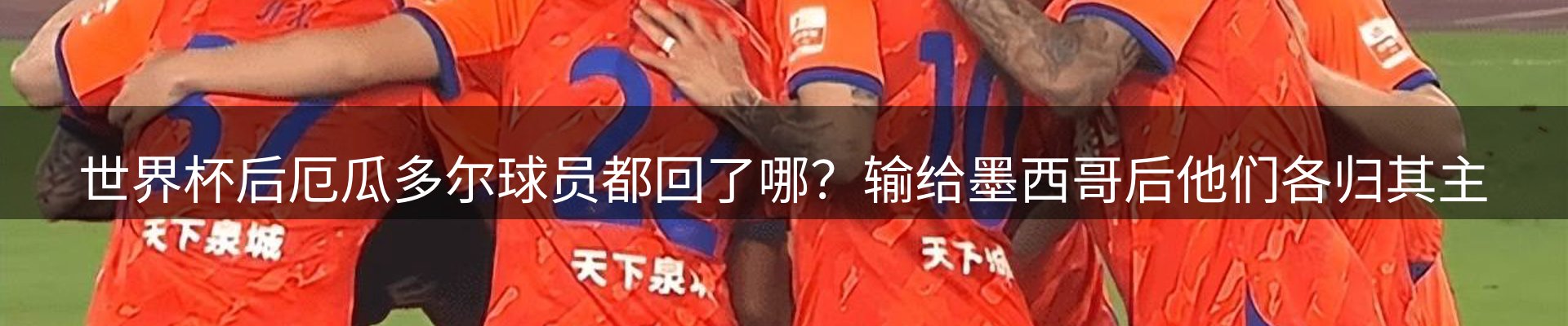 公司简报