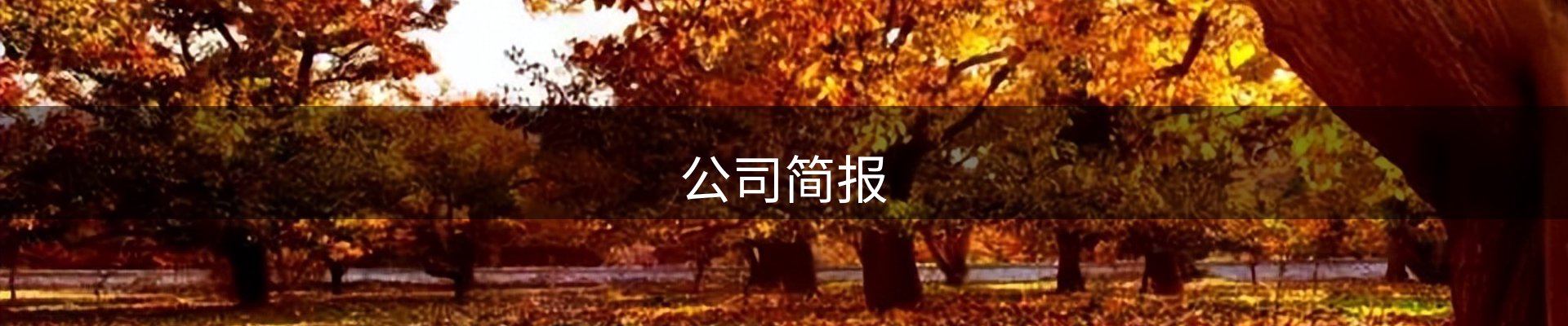 公司简报