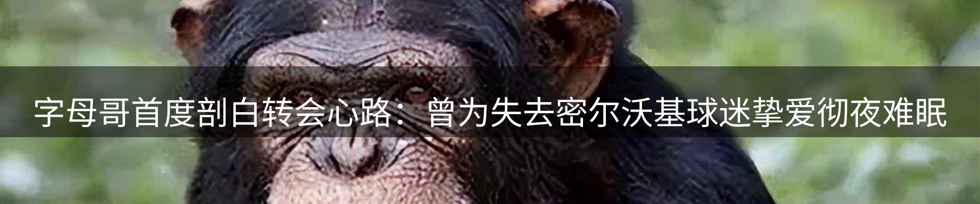 公司简报