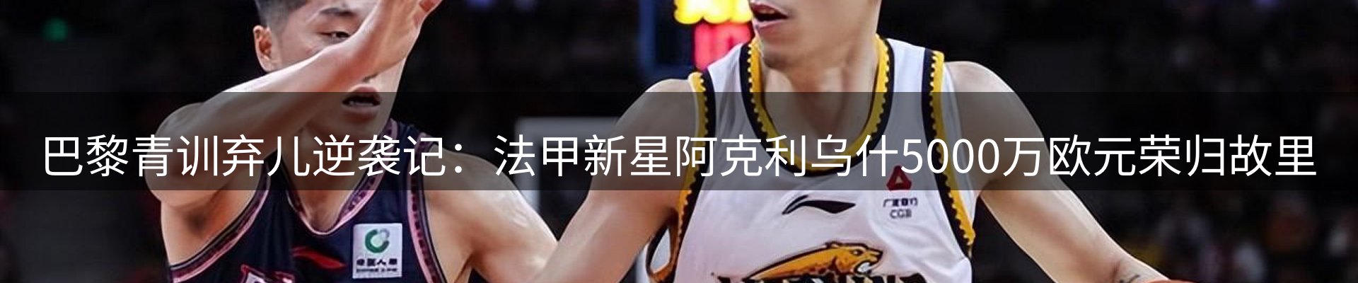公司简报