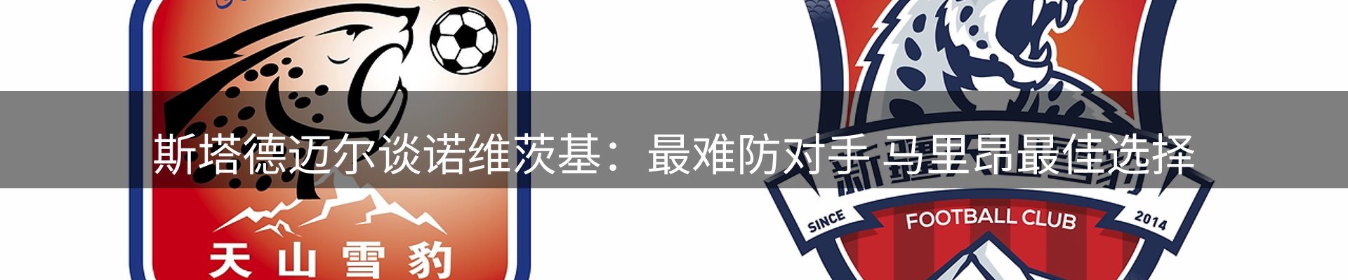 公司简报