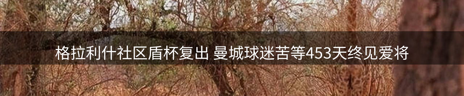公司简报