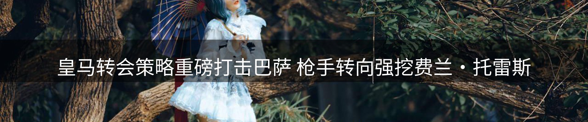 公司简报