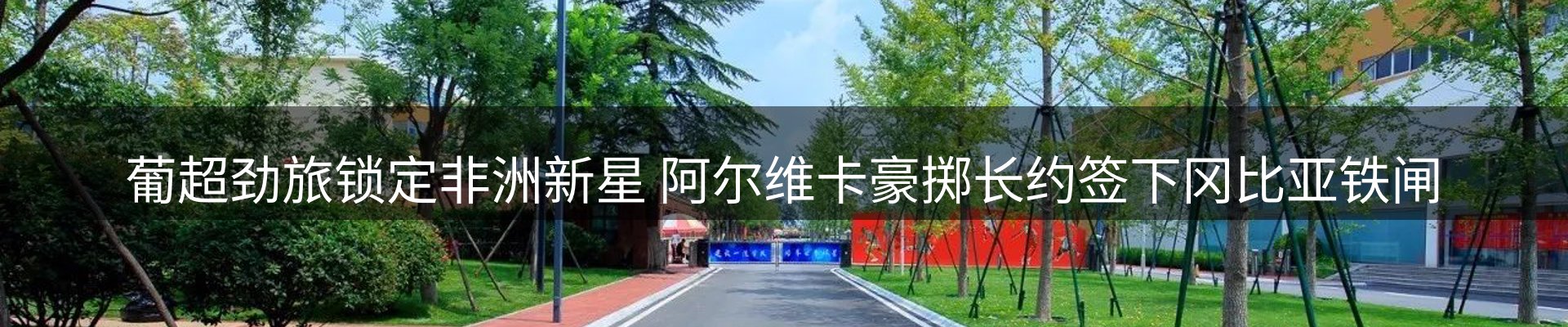 平台资讯