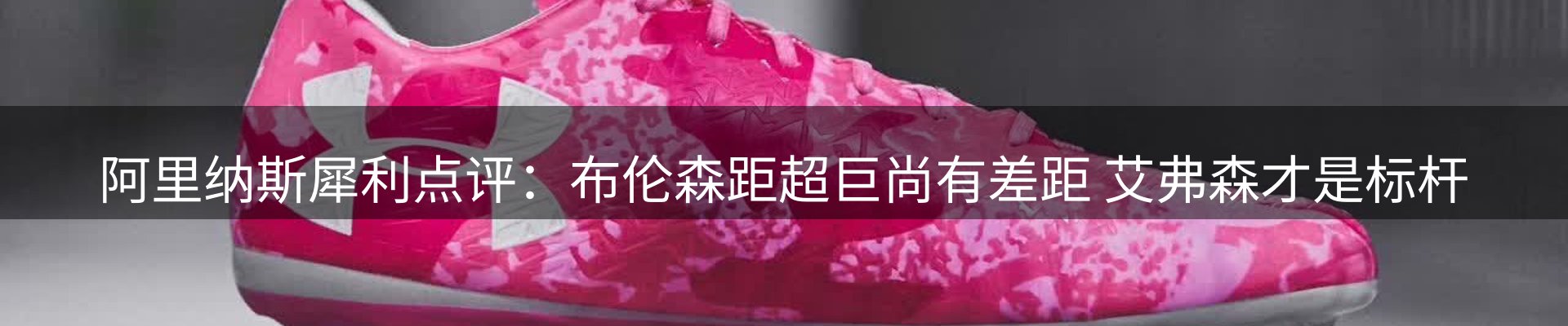 公司简报