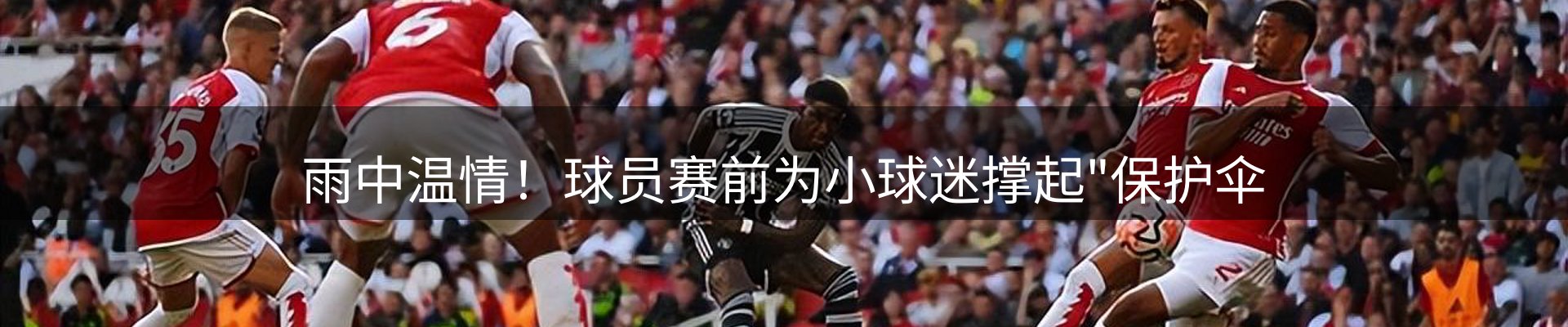 公司简报