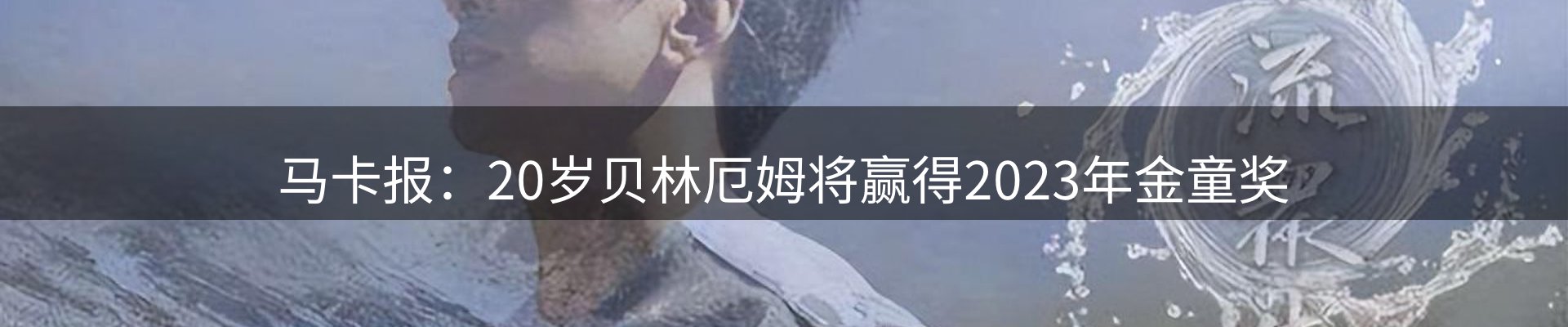 公司简报