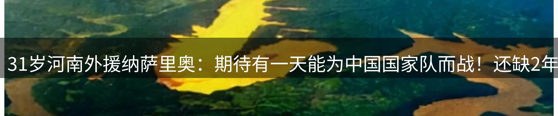 公司简报
