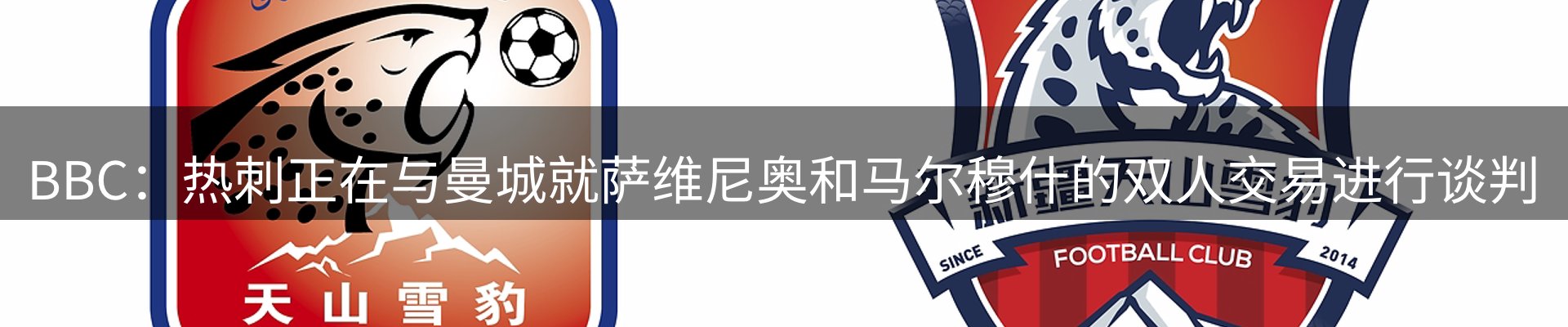 公司简报